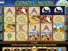 jugar Coyote Moon